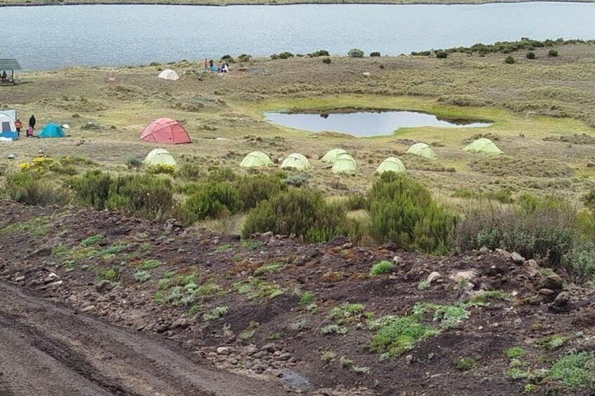 A lakeside campsite with tents and a small pond. 4