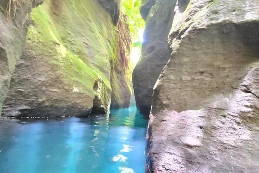 Roseau, Dominica: Rainforest Adventure sport,Waterfall swim 5