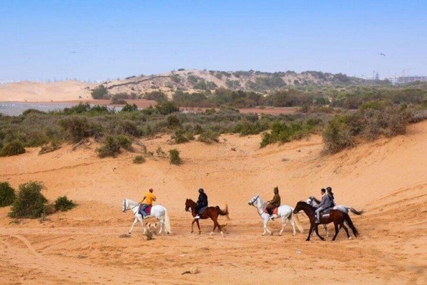 Un grupo de personas montando a caballo sobre un terreno arenoso con poca vegetación y colinas al fondo. 1