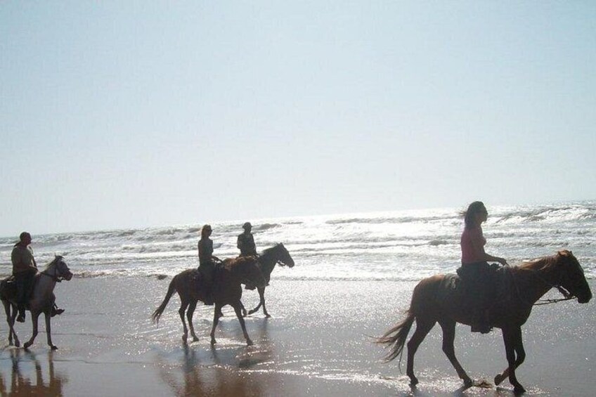 Personas montando caballos en una playa con el océano al fondo. 3