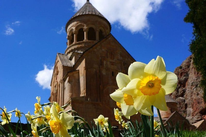 A church with a dome and bell tower, surrounded by daffodils. 1