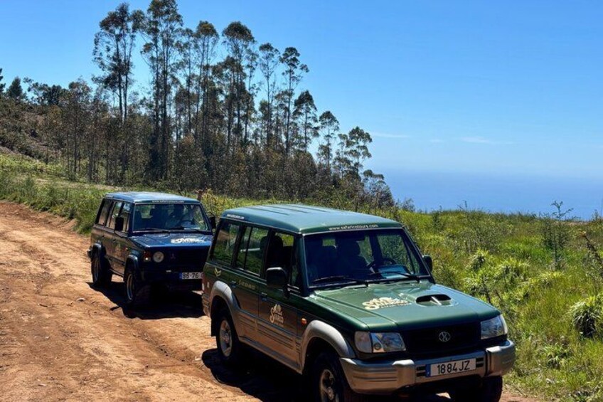 From Funchal Half Day Open Top 4x4 Shore Excursion 2