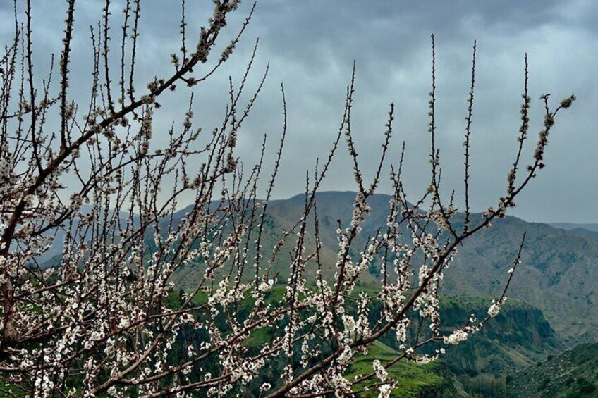 Captivating journey to Armenia's most celebrated locations 4