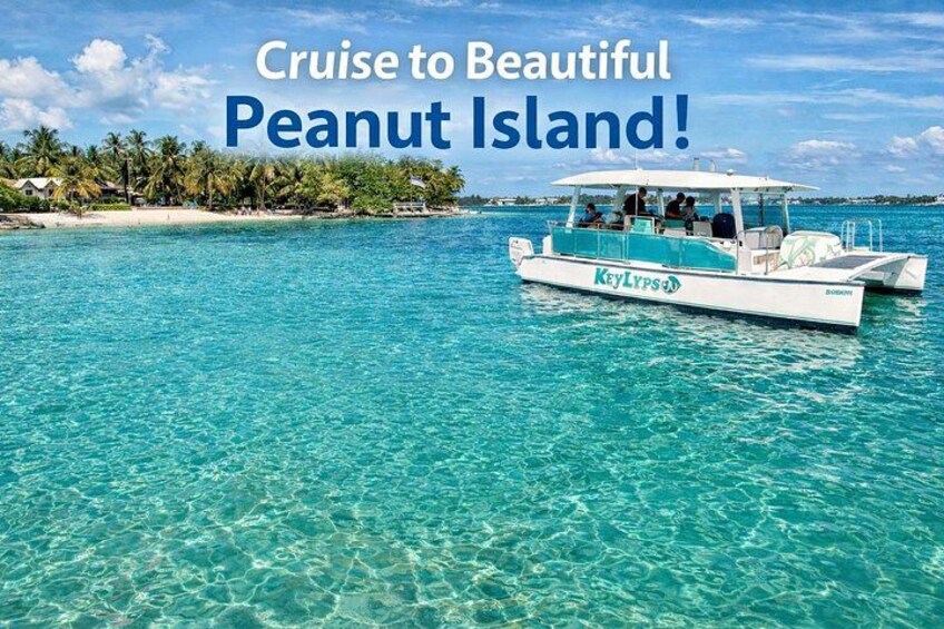 Peanut Island Sandbar and Swim Tour 1