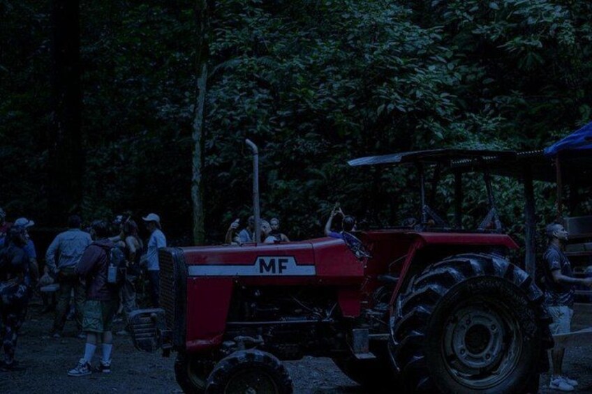 En röd traktor med märkningen ”MF” står parkerad i ett skogsområde. 3
