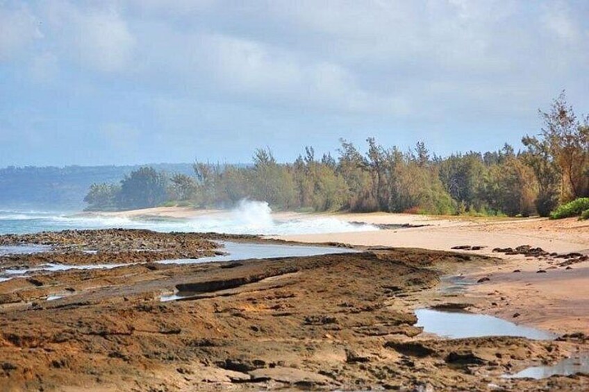 Una spiaggia con un terreno roccioso, onde che si infrangono sulla riva e una fila di alberi sullo sfondo. 2