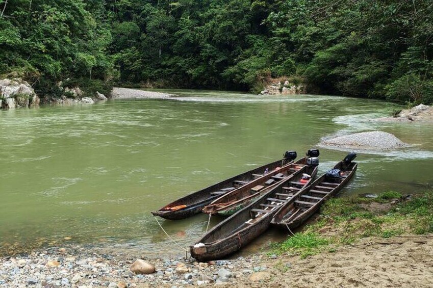 A row of canoes tied up on a riverbank. 3