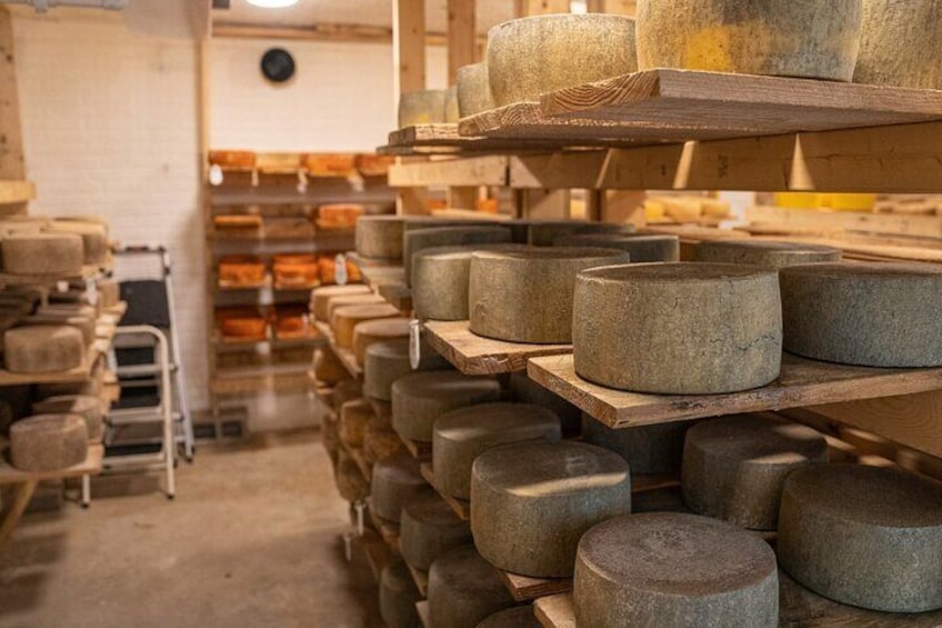 Visit the Dairy with Cheese Tasting with Bus Transportation 2