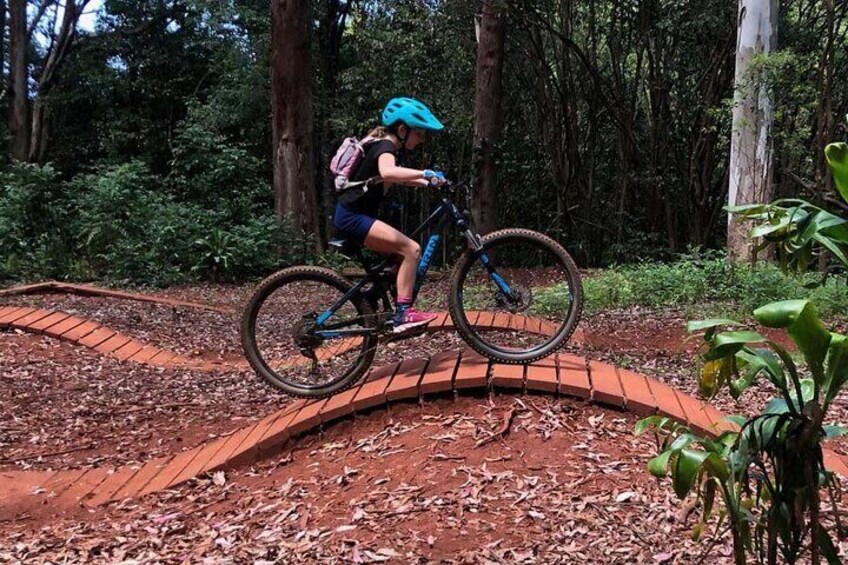 A person riding a mountain bike on a wooden bridge in a forest. 3