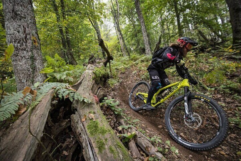 A mountain biker on a trail in a forested area. 1