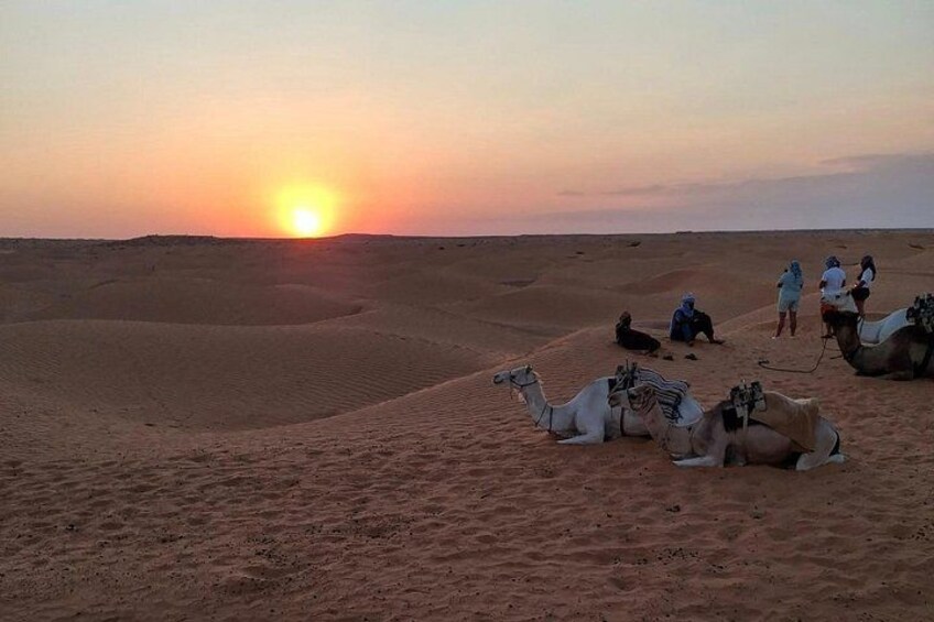 A desert landscape with camels and people during sunset. 1