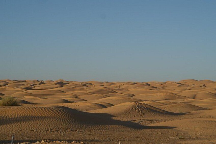 A desert landscape with sand dunes and sparse vegetation. 4