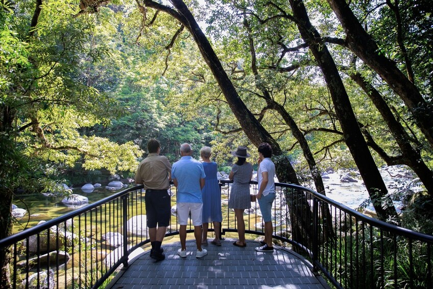 A group of people standing on a bridge overlooking a river surrounded by trees. 4