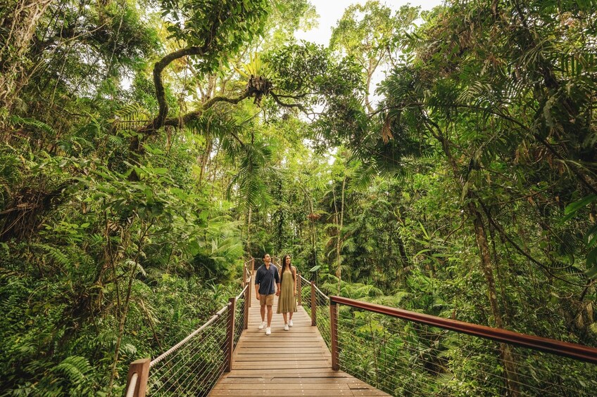 A wooden bridge in a dense forest with people walking on it. 5