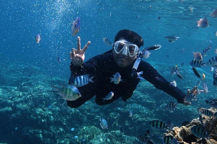 A person scuba diving underwater with fish. 3