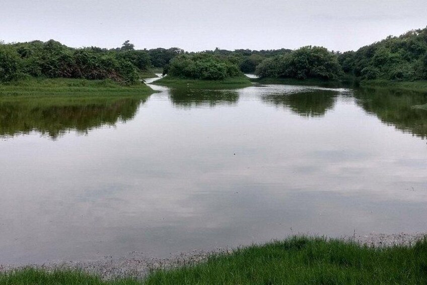 Chennai Tour to Sacred Hills and Eco Trails 2