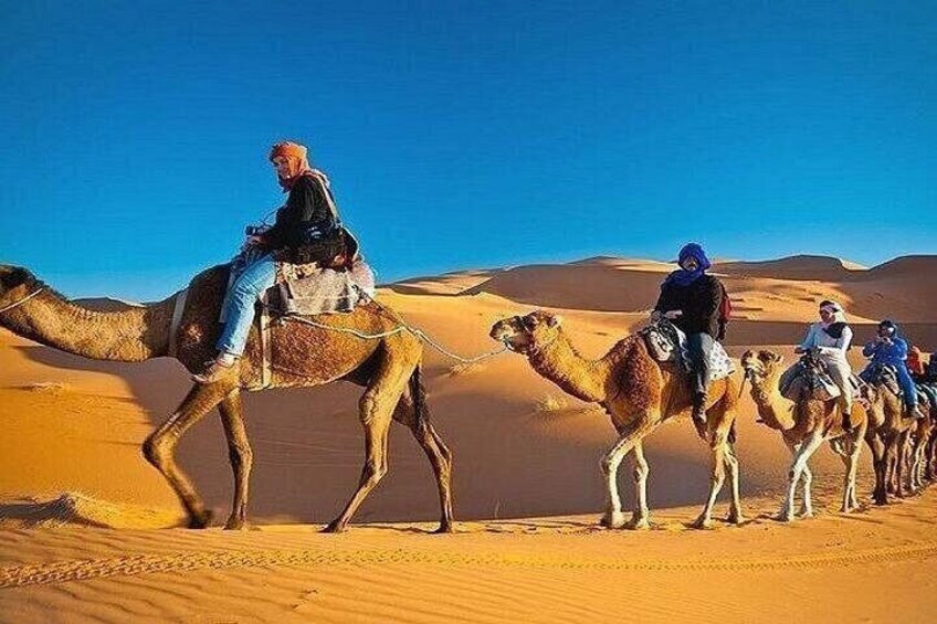 Morning Desert Safari with 200cc Polaris Ride in Dubai 1