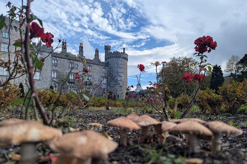 Private Kilkenny Tour: Medieval History & Local Insights 4