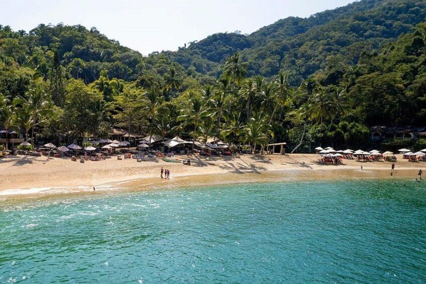 Una spiaggia con acque cristalline turchesi, palme e ombrelloni. 5