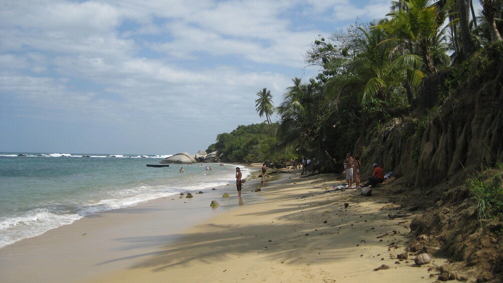 Une plage tropicale, avec un ciel dégagé, des palmiers et des gens qui se baignent et profitent de l’eau. 1