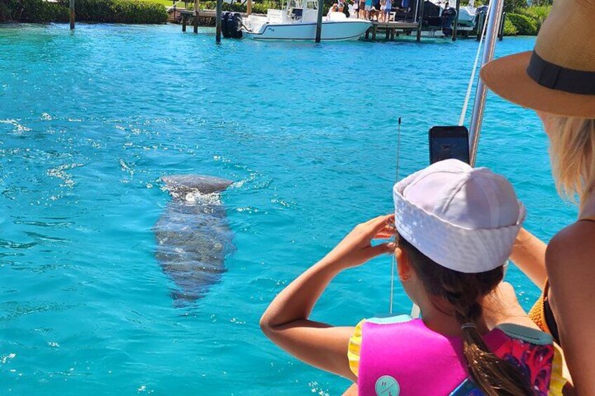 A person taking a photo of a shark in a clear blue pool with a boat in the background. 2