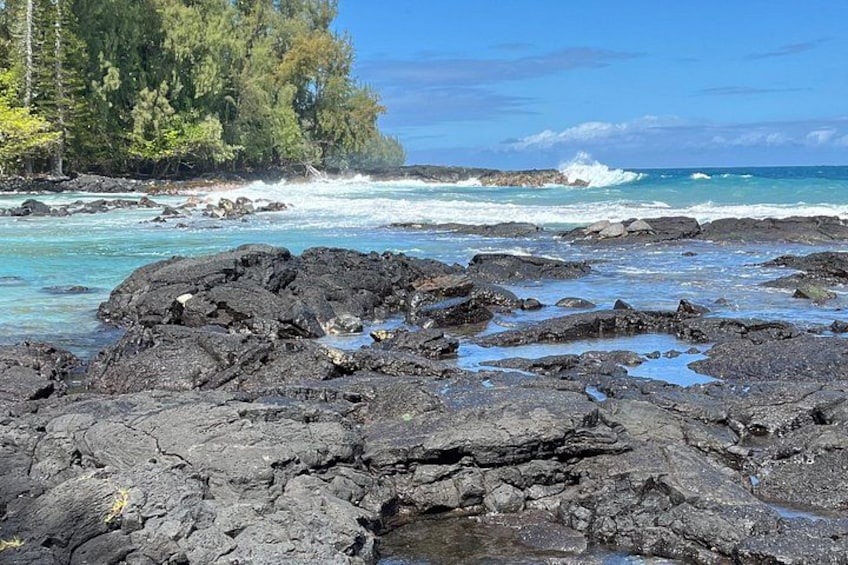 Una costa rocosa con olas rompiendo contra las rocas, un cielo azul despejado y un área boscosa al fondo. 4