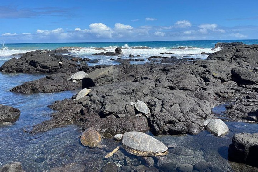 Una costa rocosa con agua cristalina, rocas grandes y una vista distante del océano. 1