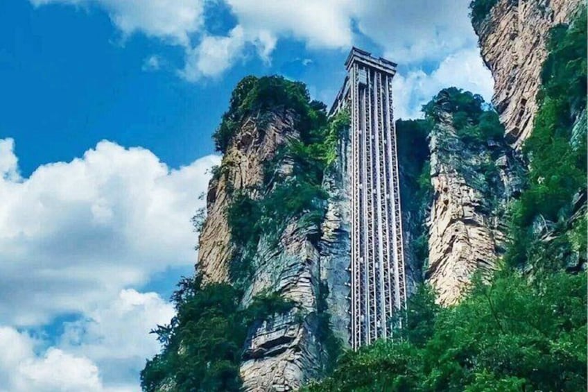 Ticket: Zhangjiajie Forest Park -Avatar&Tianmen Mt.&Glass Bridge 4