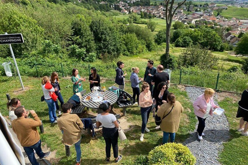 Épernay and Champagne Open-Top Bus Tour with 3 Tastings 2