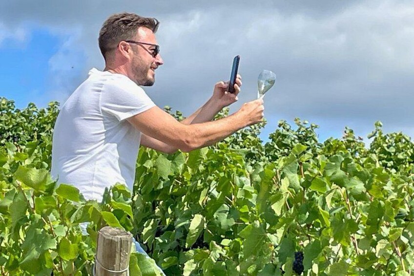 A person holding a smartphone and a wine glass in a vineyard. 3