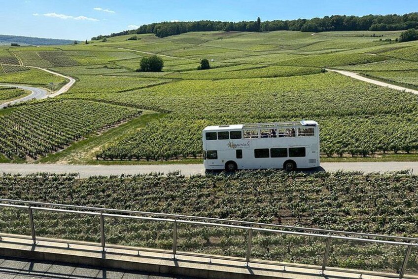 Épernay and Champagne Open-Top Bus Tour with 3 Tastings 3