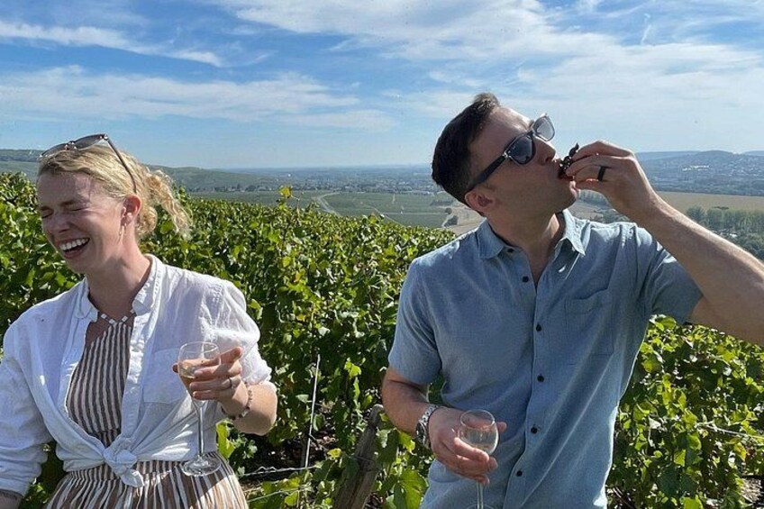 Épernay and Champagne Open-Top Bus Tour with 3 Tastings 4