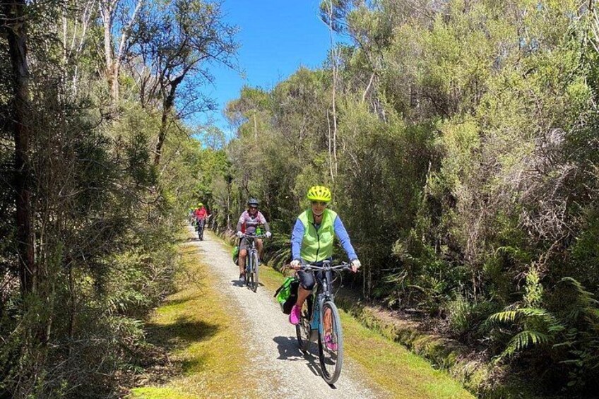 Cyclists on a narrow trail surrounded by dense vegetation. 5