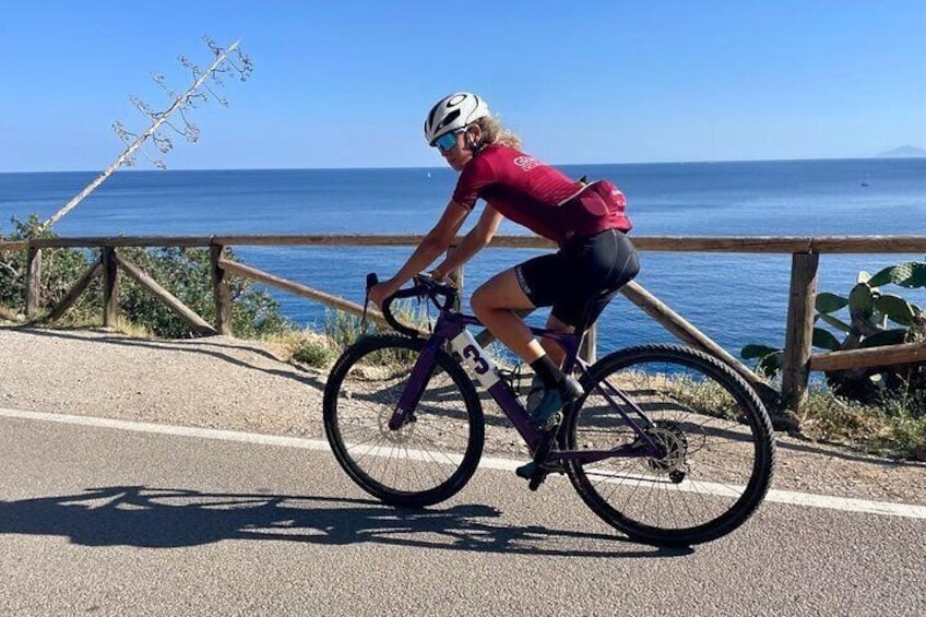 A person riding a purple bicycle on a coastal road with a wooden fence and ocean in the background. 4