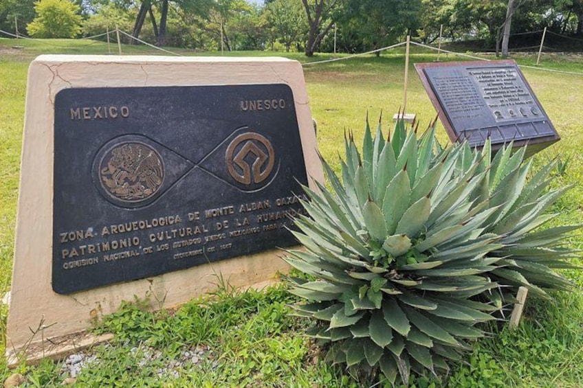 A sign with UNESCO inscription, a large agave plant, and a grassy area. 2
