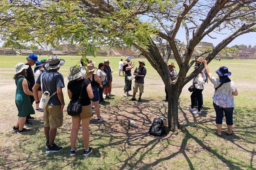 A group of people standing under a tree in a park. 4