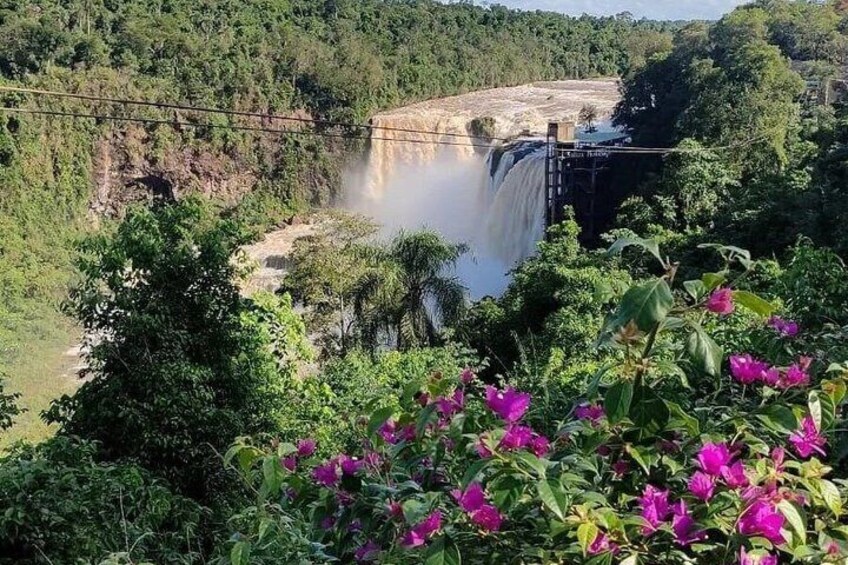 A waterfall, lush greenery, and pink flowers. 4