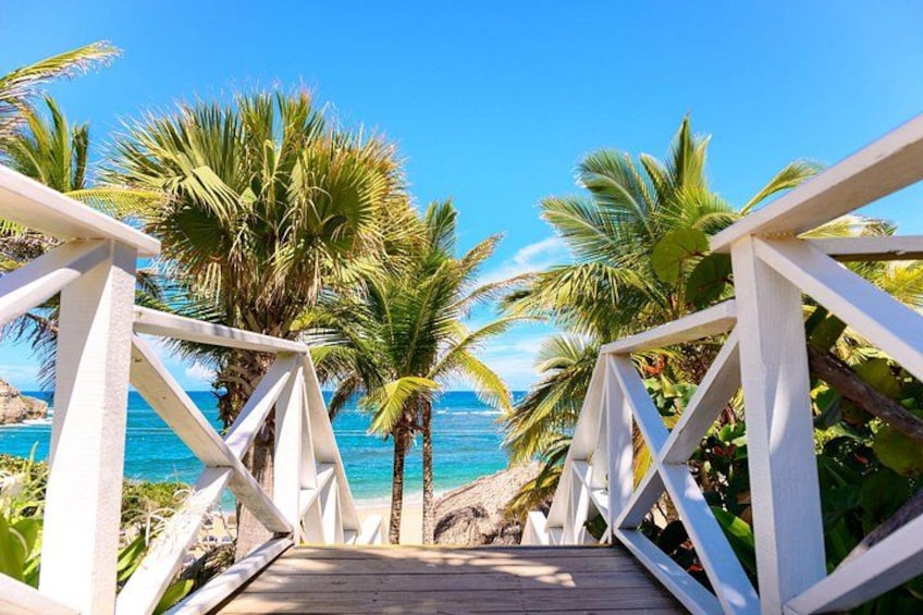A wooden boardwalk leading to a beach with palm trees and the ocean in the background. 4