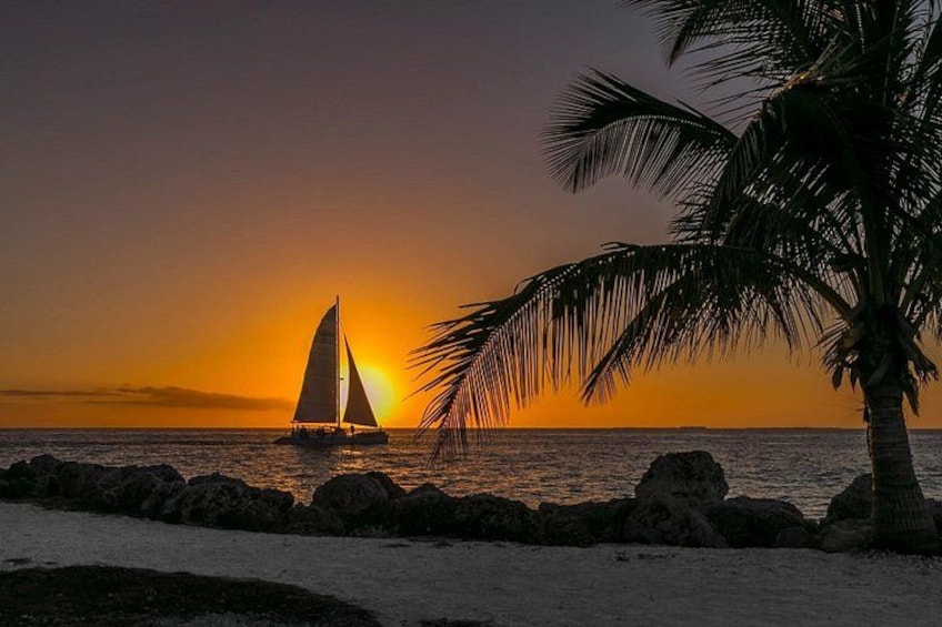 A sailboat on the water, a sunset, and a palm tree. 1