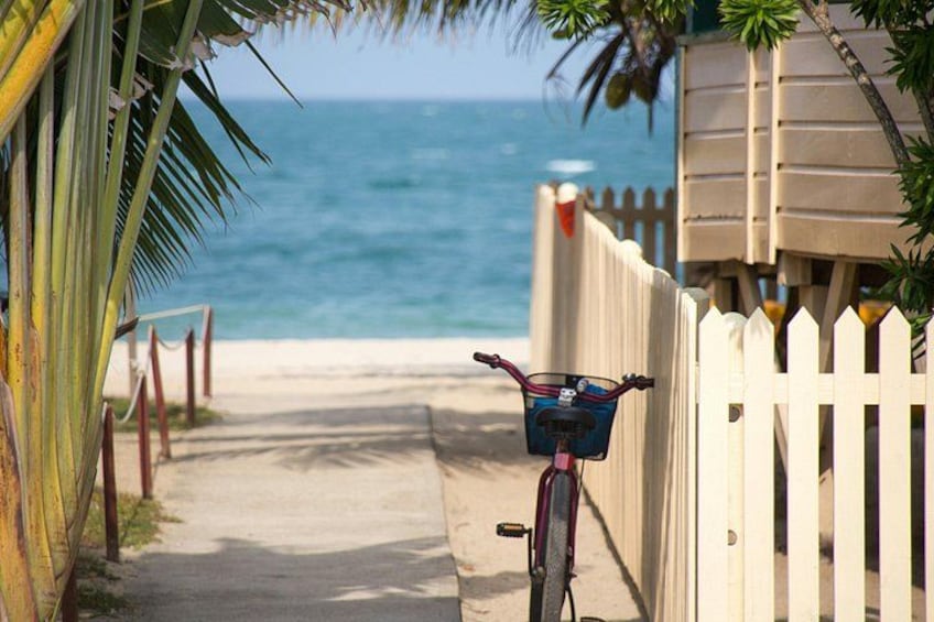A bicycle parked on a beach path, a white picket fence, and the ocean in the background. 2