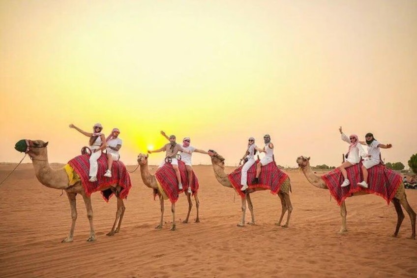 Dubai Red Dunes Safari with 4x4 Pickup, Camel Ride and BBQ Dinner 4