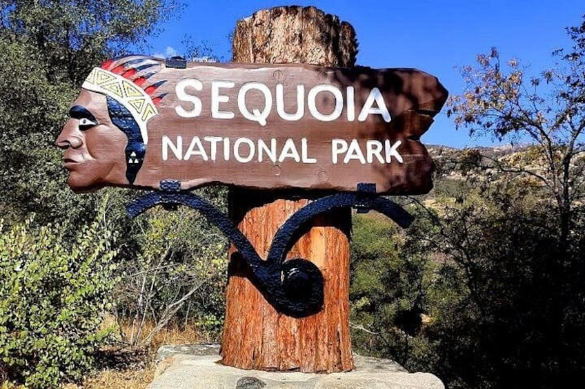 A wooden sign with 'SEQUOIA NATIONAL PARK' written on it, mounted on a tree. 1
