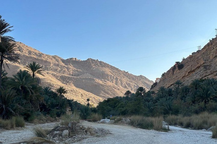 Wahiba Sands Desert Adventure Dune Drive and Camp 3