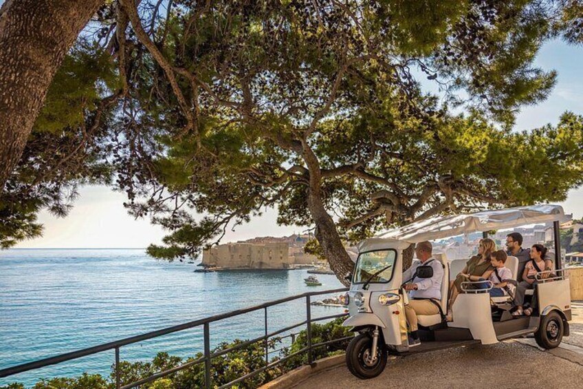 A group of people on a golf cart near a coastal area with a tree and a body of water. 2