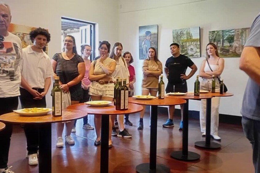 Many Tastings in 3 Wineries and 1 Olive Tree 3