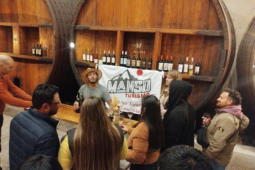 Many Tastings in 3 Wineries and 1 Olive Tree 5