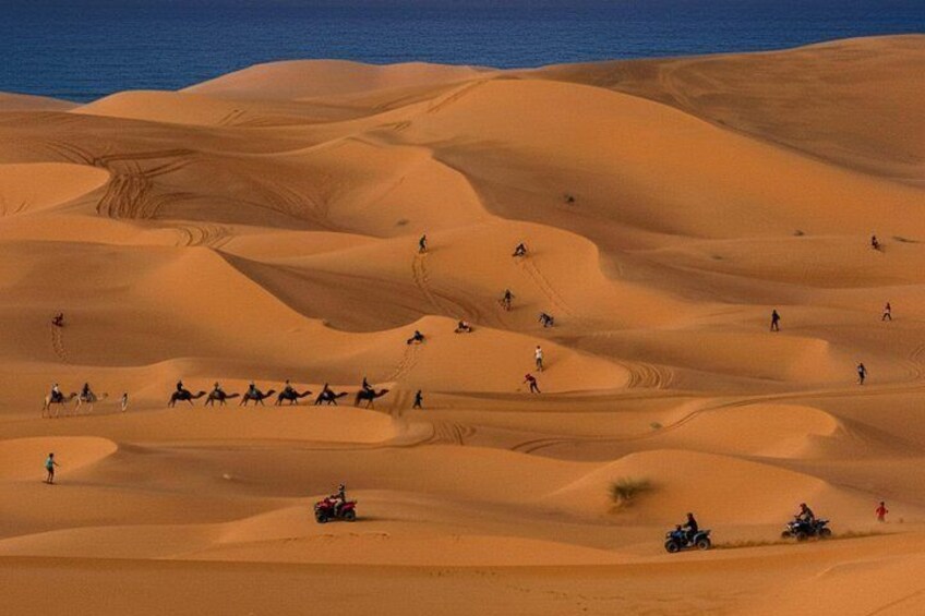 Agadir: Camel Ride, Sandboarding & Desert Canyon Tour 5