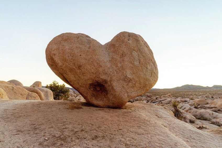 Joshua Tree NP Self Guided Audio Driving Tour West Entrance Start 5