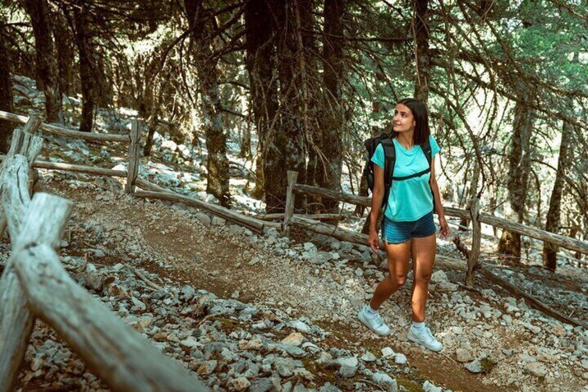 Kefalonia 4x4 Adventure to Mount Ainos with Village Lunch 1