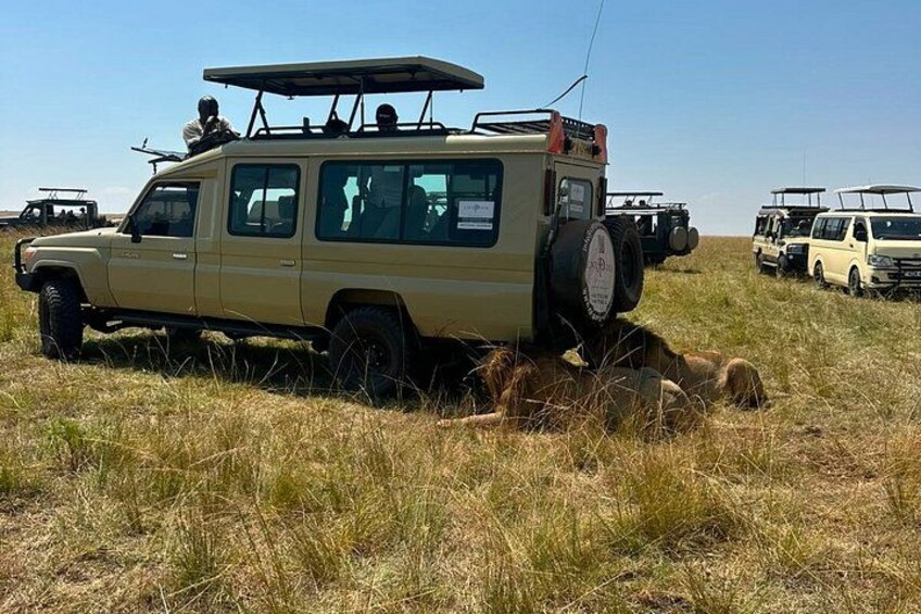 Nairobi 3 Day Maasai Mara Group Safari With a 4*4 Vehicle 4